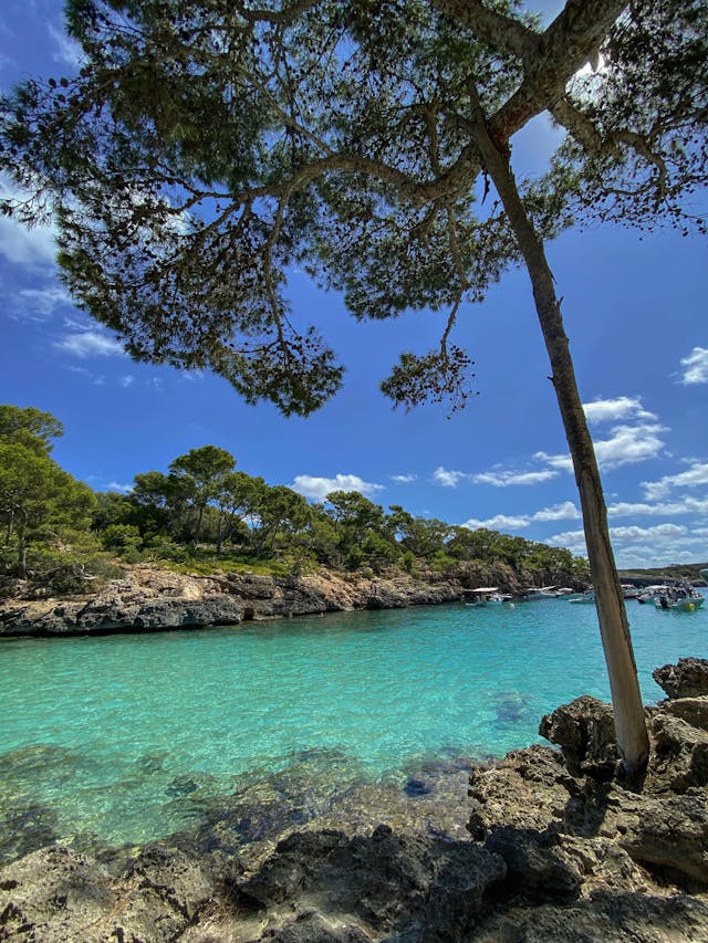 Palma de Mallorca, o bijuterie mediteraneană
