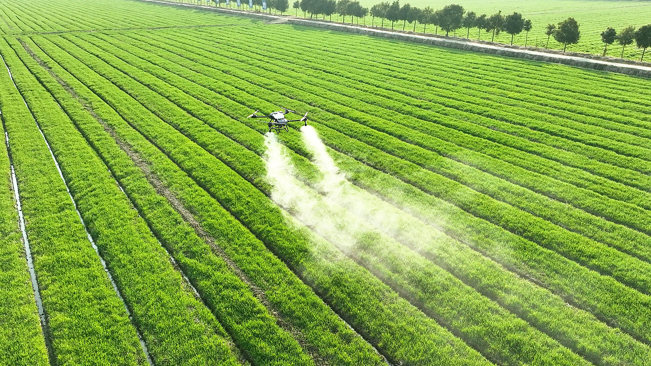 Perioadele optime pentru tratamente cu pesticide